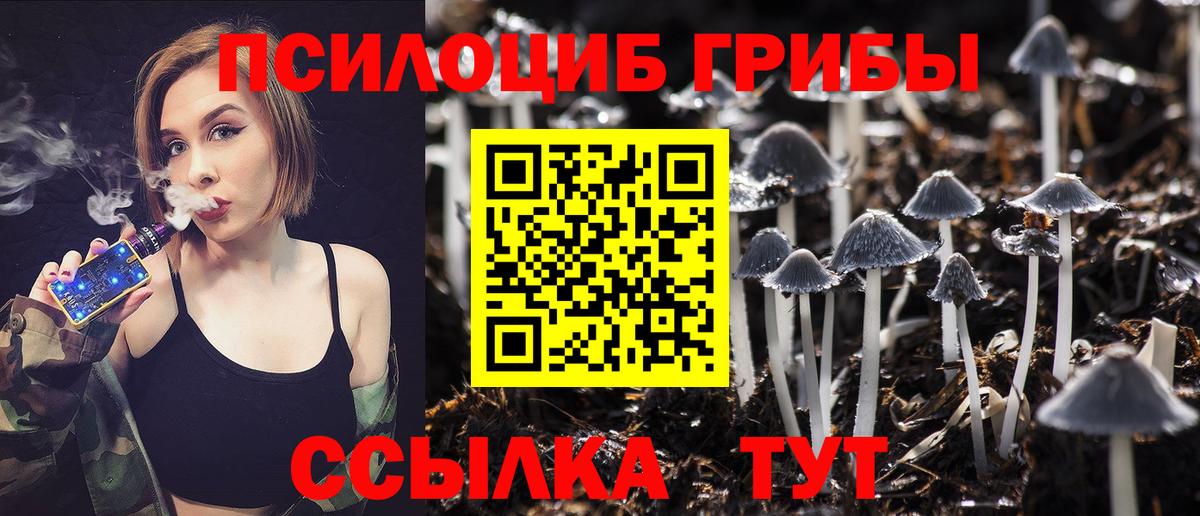 Псилоцибиновые грибы Cubensis Ялта