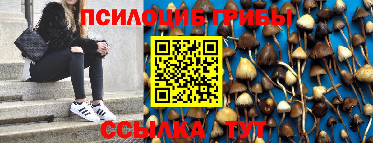 Галлюциногенные грибы Psilocybe  Галлюциногенные грибы прущие грибы  Вход с VPN  Ялта 